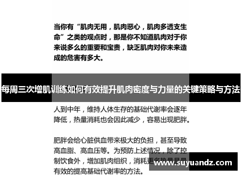 每周三次增肌训练如何有效提升肌肉密度与力量的关键策略与方法